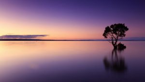 sunset with purple water